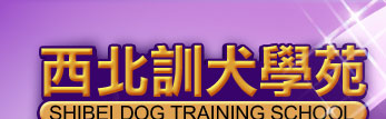 西北訓犬學苑